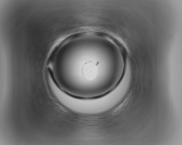 X0000112151365200908071107
