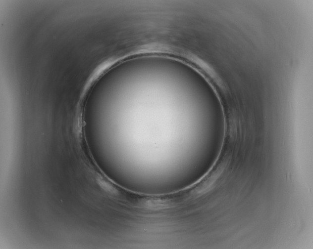 X0000112151366200908071107