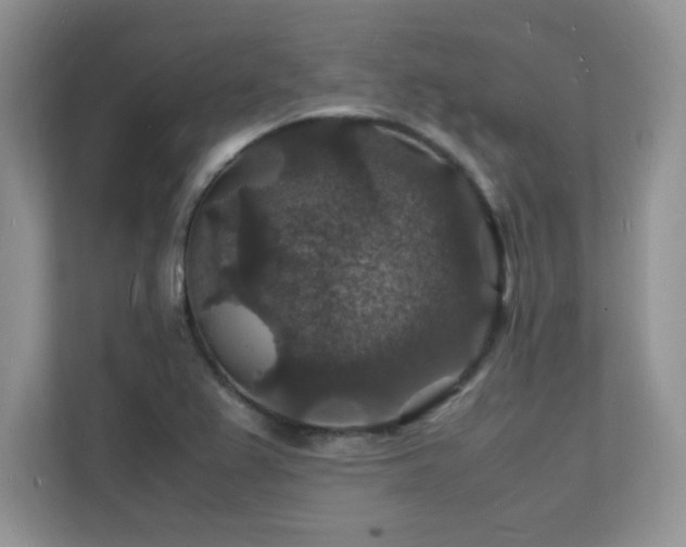 X0000112151367200908071107