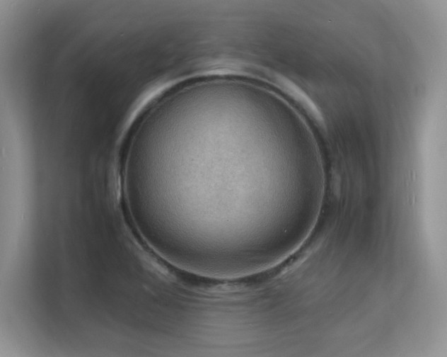 X0000112151368200908071107