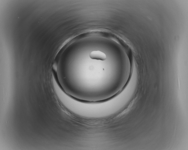 X0000112151369200908071107
