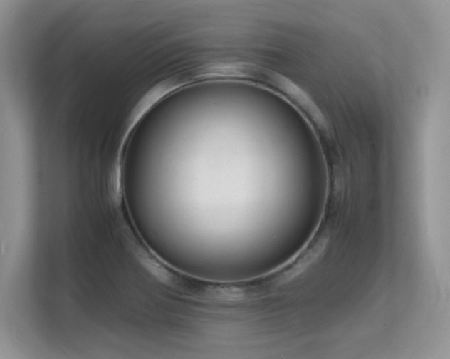 X0000112151370200908071107