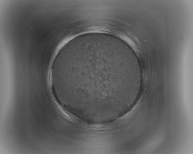 X0000112151371200908071107