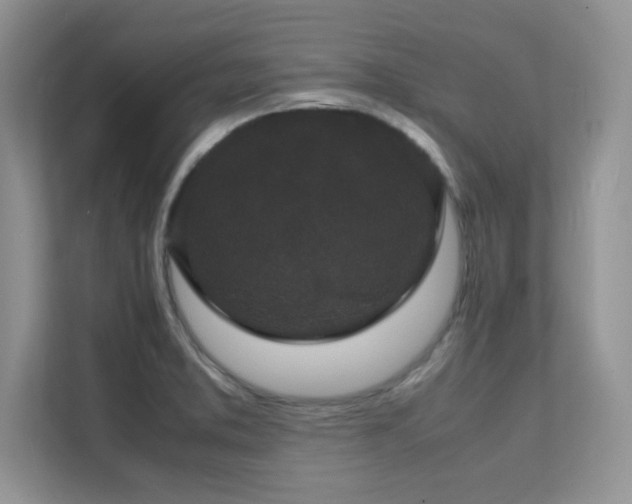 X0000112151373200908071107