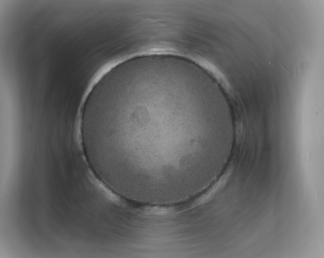 X0000112151374200908071107