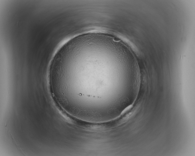 X0000112151375200908071107