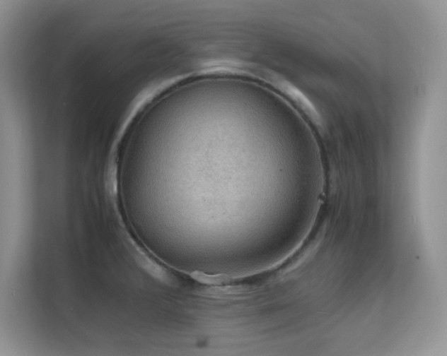 X0000112151376200908071107