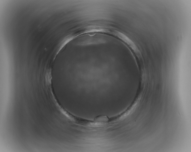 X0000112151377200908071107