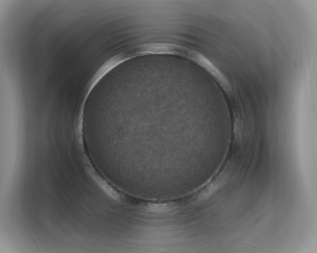 X0000112151378200908071107