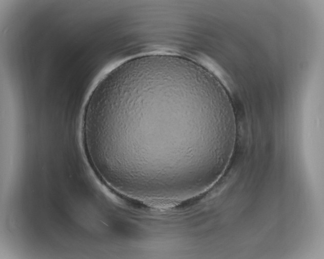 X0000112151379200908071107