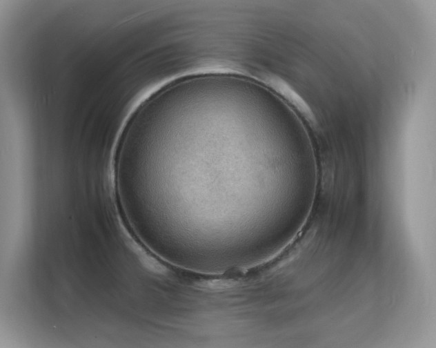 X0000112151380200908071107