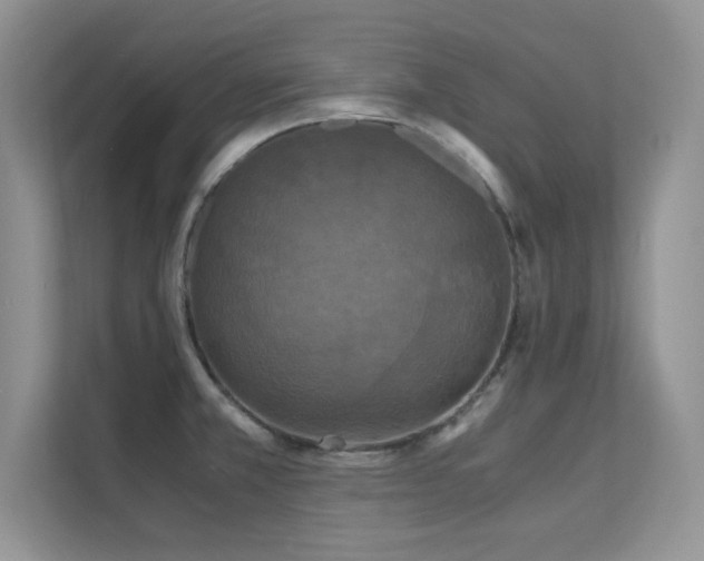 X0000112151381200908071107
