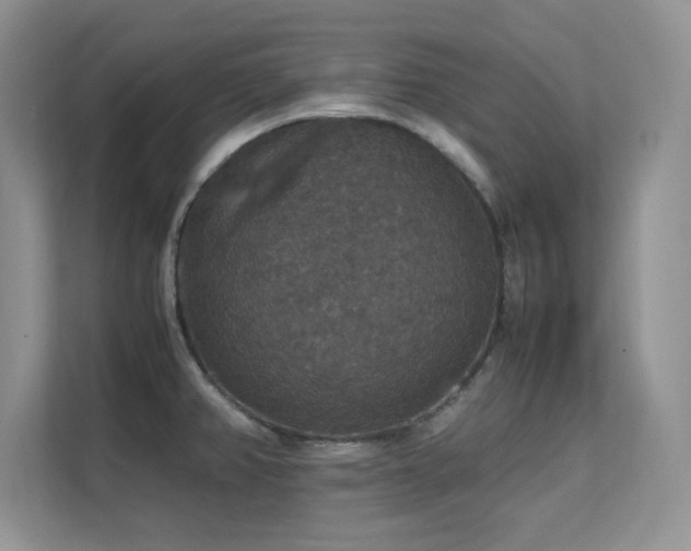 X0000112151382200908071107