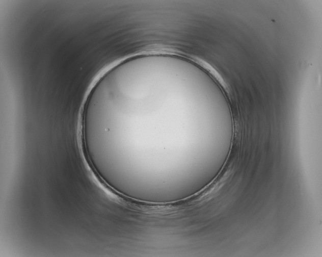 X0000112151387200908071107