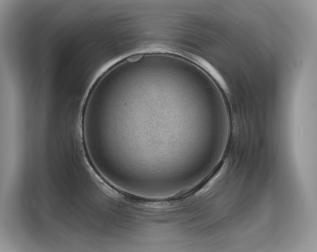 X0000112151388200908071107