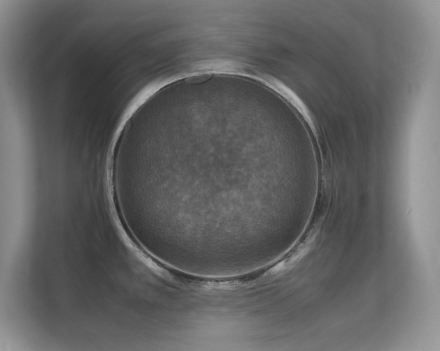 X0000112151389200908071107