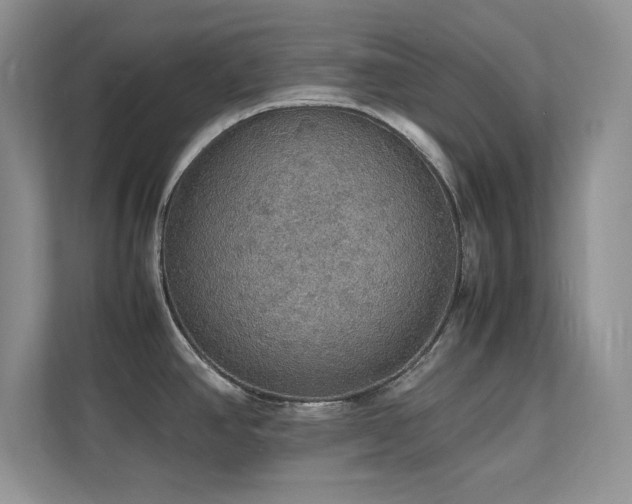X0000112151390200908071107