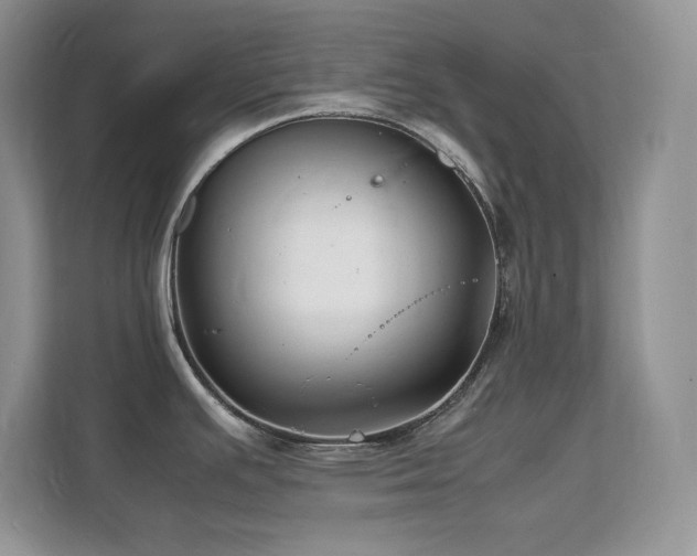 X0000112151391200908071107