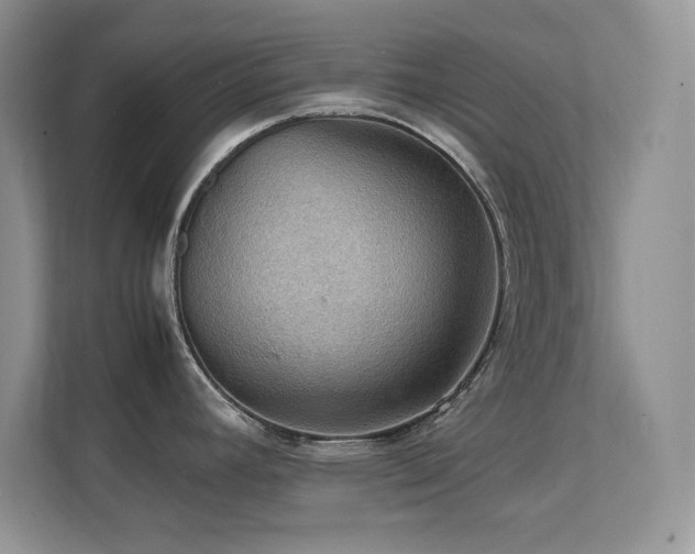 X0000112151392200908071107