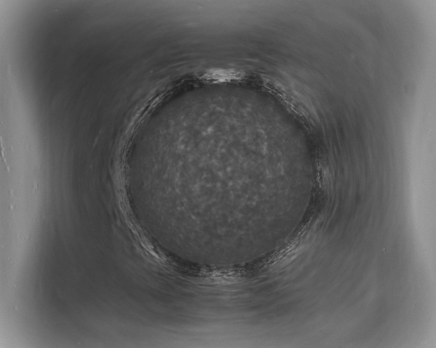 X0000112151393200908071106