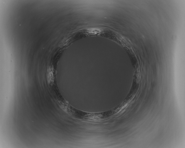 X0000112151394200908071106