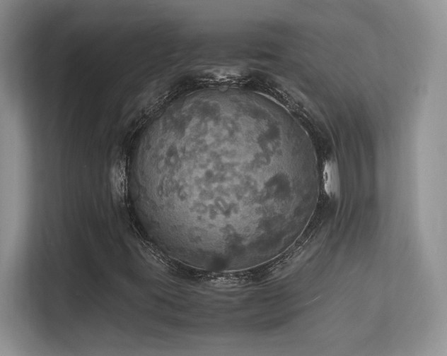 X0000112151395200908071106