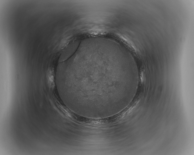 X0000112151396200908071106