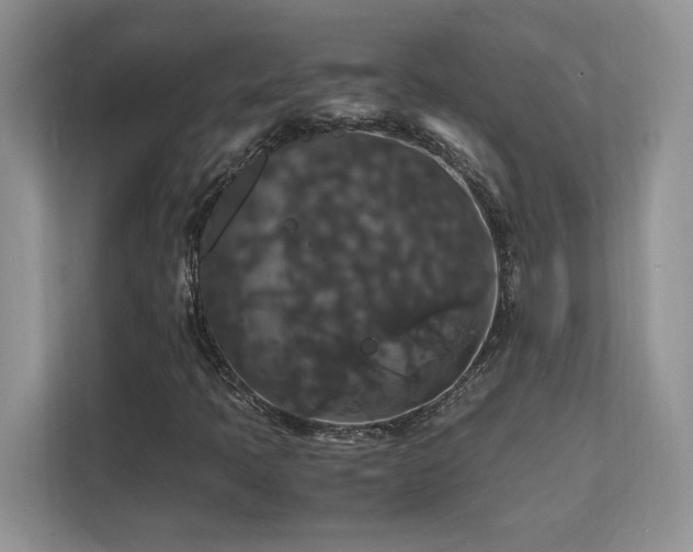 X0000112151397200908071106