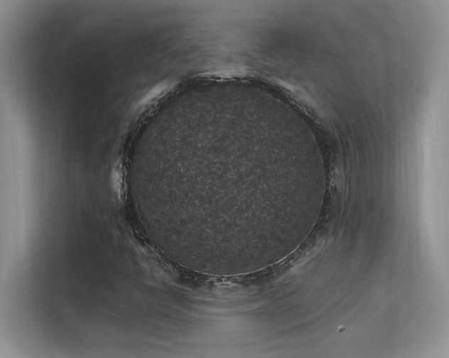 X0000112151398200908071106