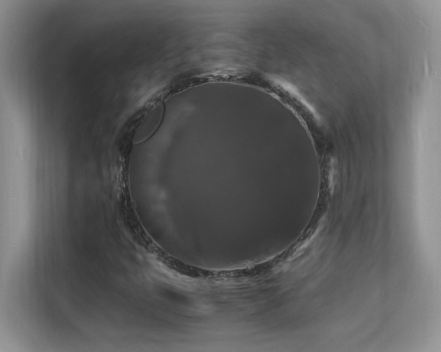 X0000112151399200908071106