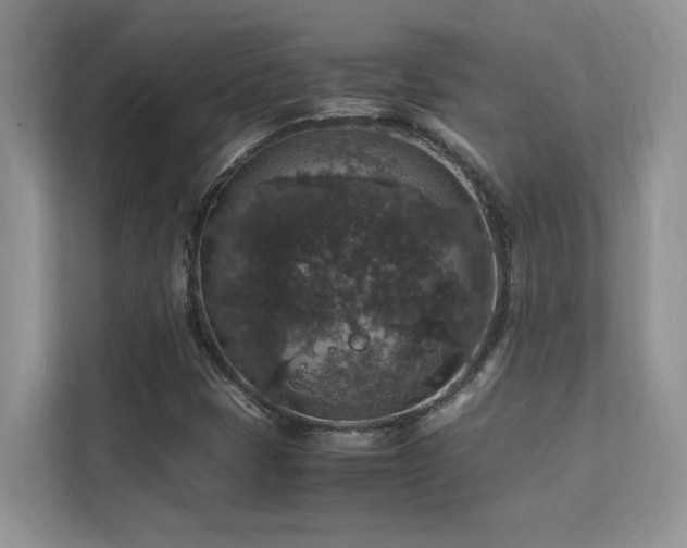 X0000112151401200908071107