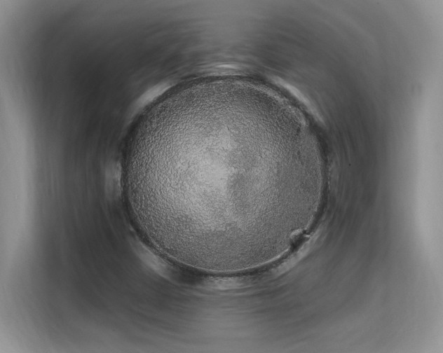 X0000112151402200908071107