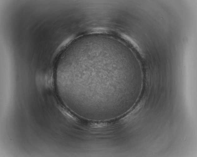 X0000112151403200908071107