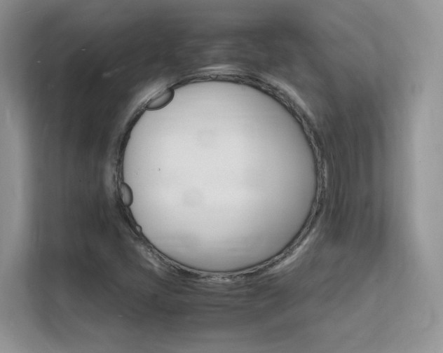 X0000112151405200908071107