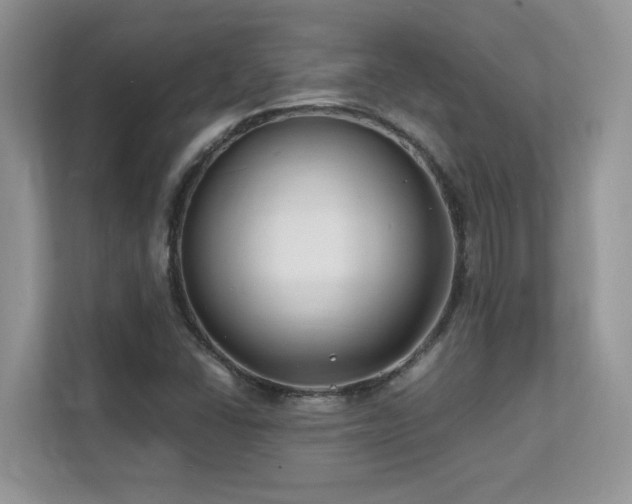 X0000112151406200908071107