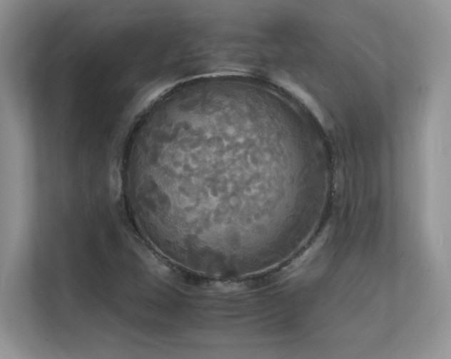 X0000112151407200908071107