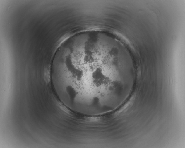 X0000112151409200908071107