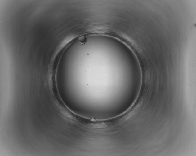 X0000112151410200908071107