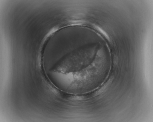 X0000112151411200908071107