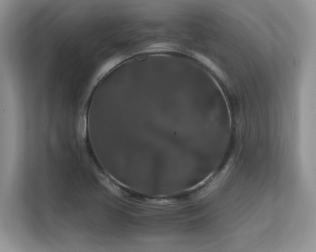 X0000112151413200908071107