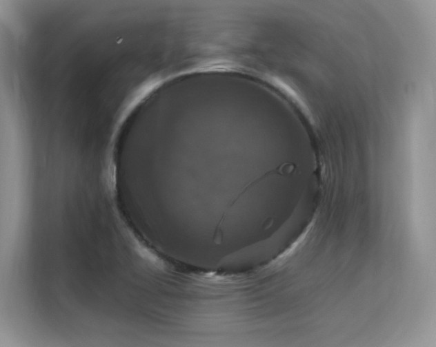 X0000112151414200908071107
