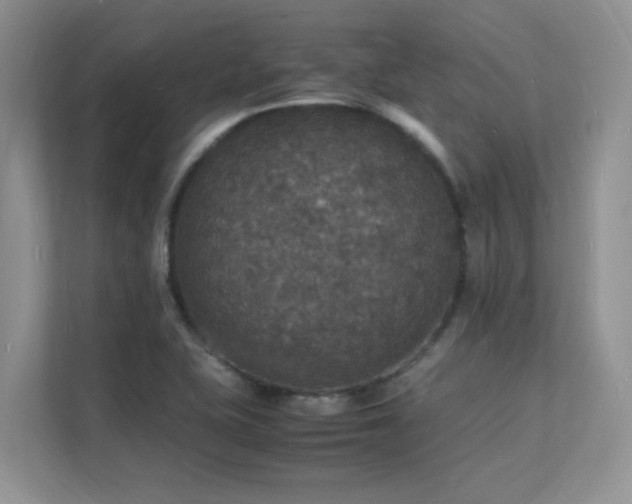 X0000112151415200908071107