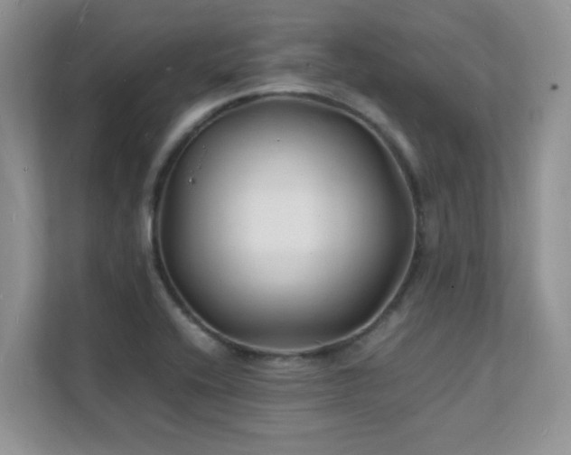 X0000112151416200908071107