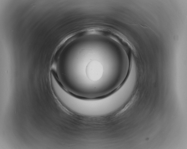 X0000112151417200908071107