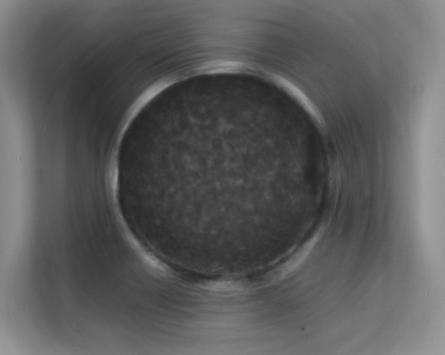 X0000112151418200908071107