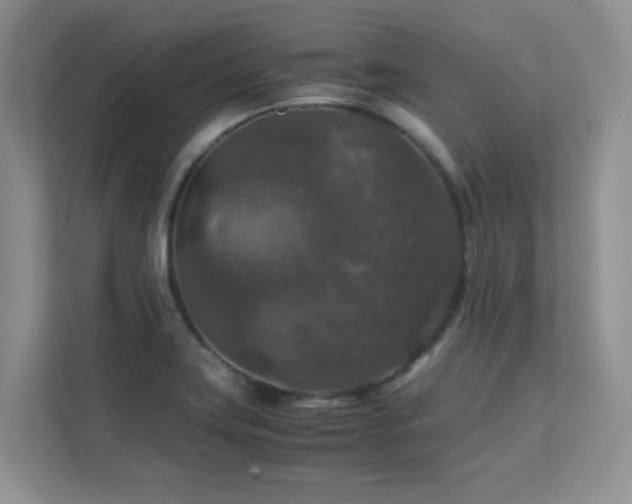 X0000112151419200908071107