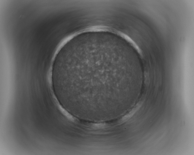 X0000112151421200908071107