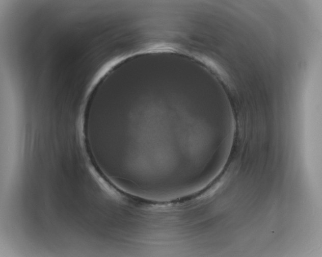 X0000112151422200908071107