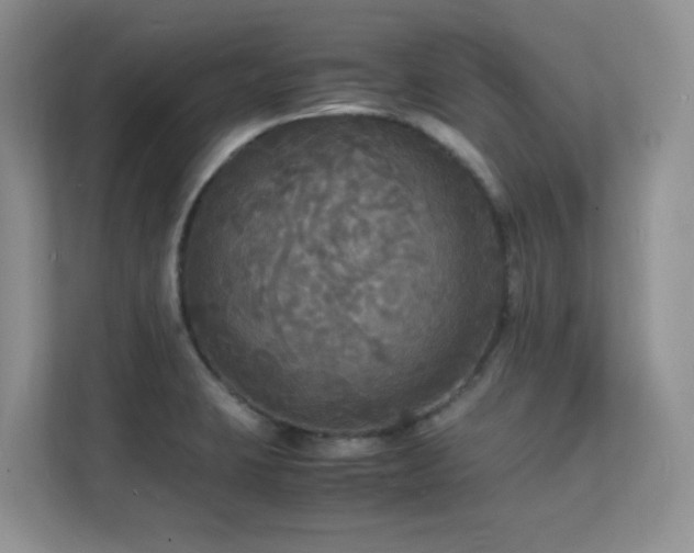 X0000112151423200908071107