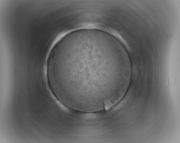 X0000112151424200908071107